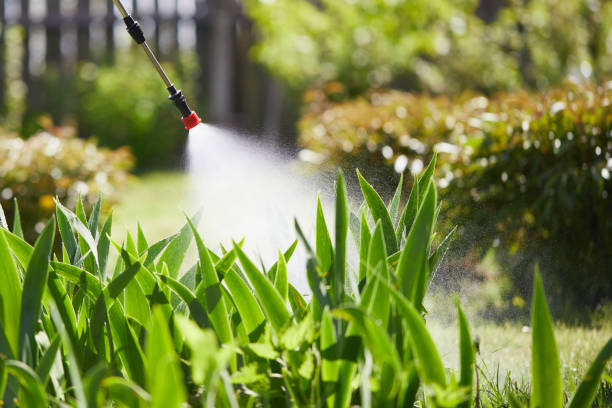 24/7 Emergency Mosquito Control experts in White Island Shores, MA